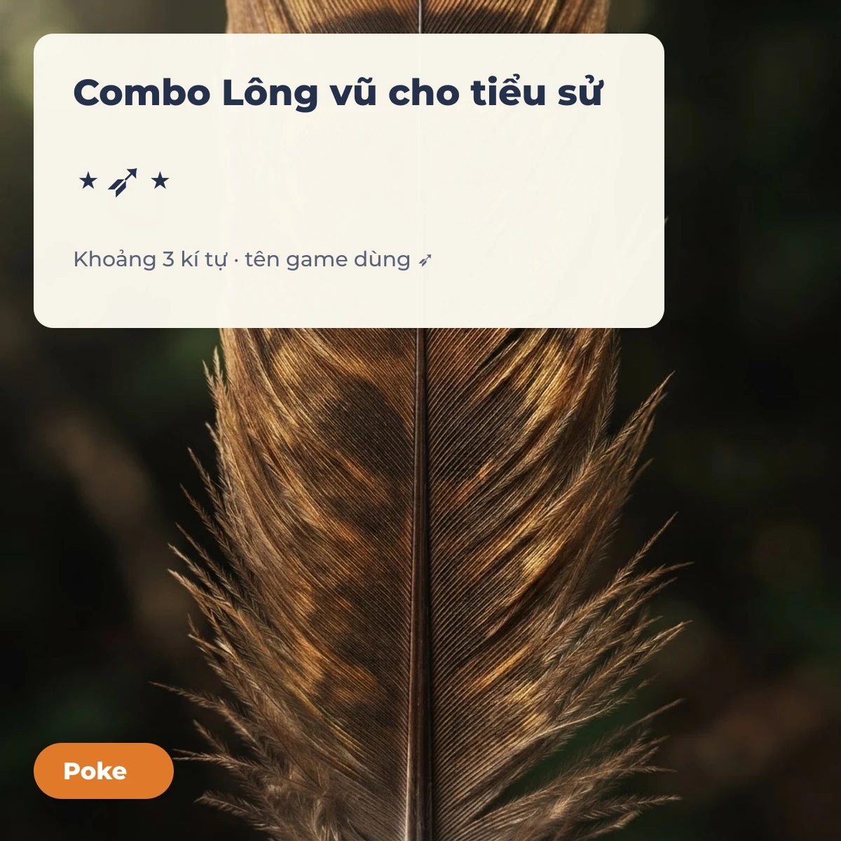 lông vũ ghep vào tên, hợp tiểu sử